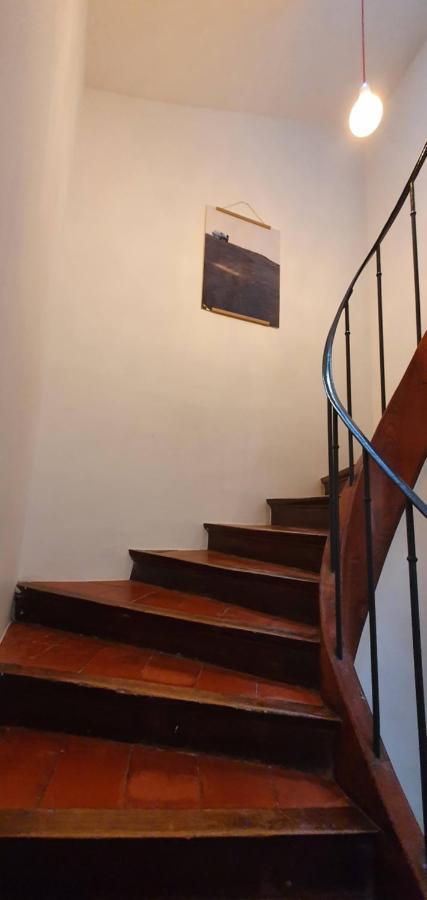 L'Ecole Buissonniere ! Villa Carcassonne Eksteriør bilde